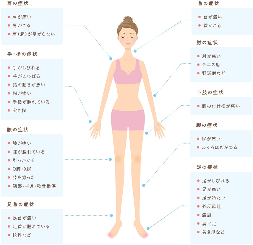 首、肩、肘、手・指、下肢、脚、膝、足、足首の症状