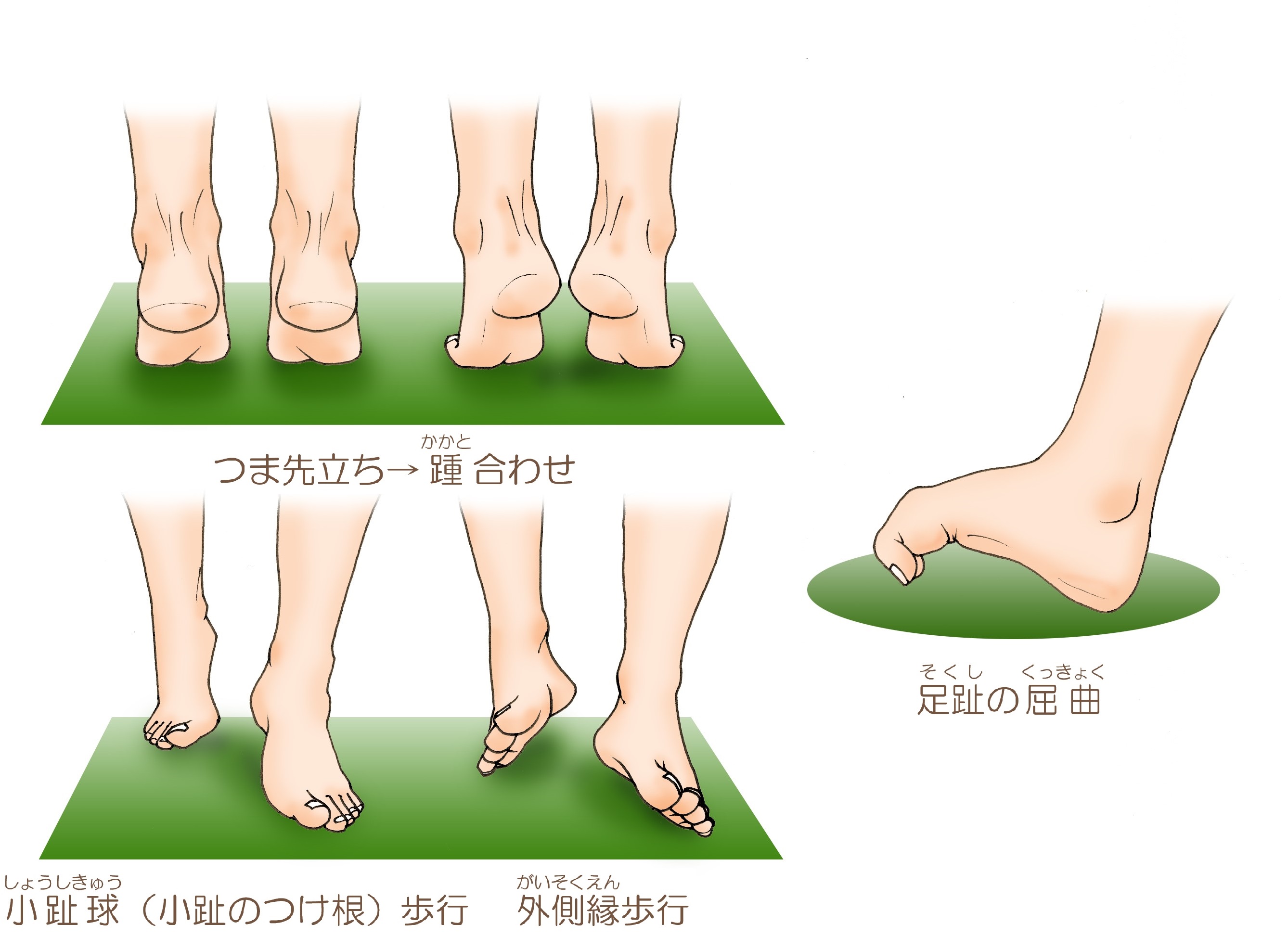 足首 回す と 痛い